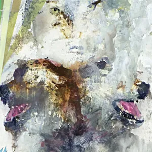 Tail swallower and dove